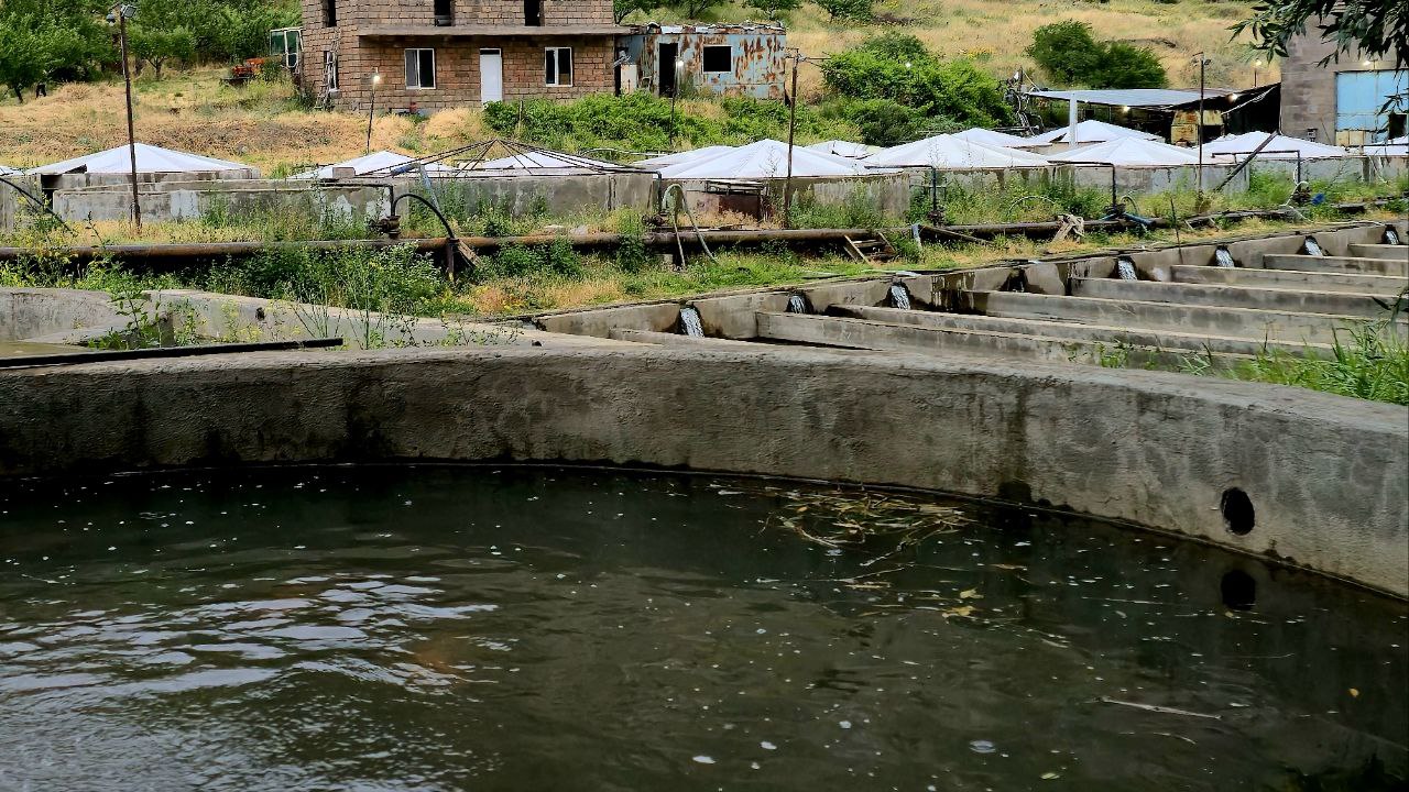 Կարմրախայտ